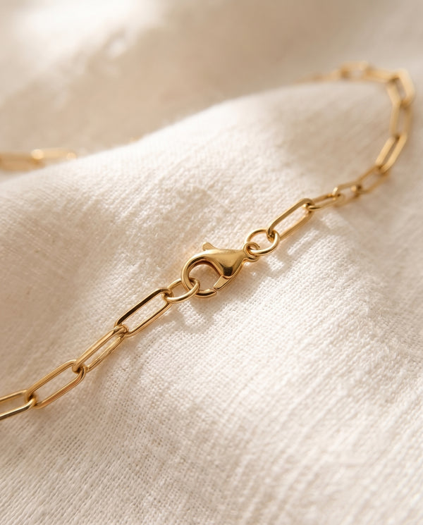 Paperclip chain lobster clasp close up
